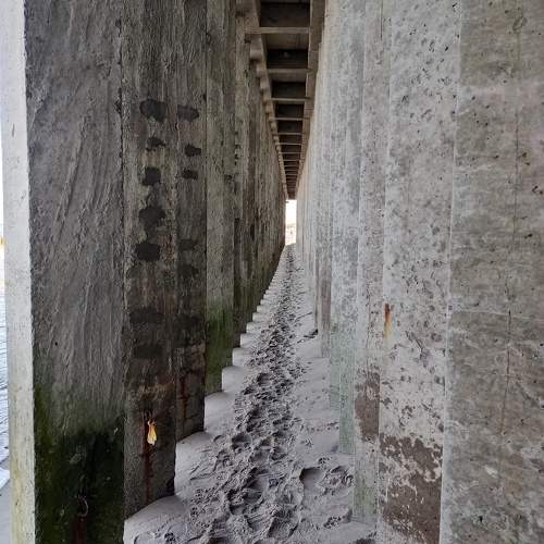 Photo #11655301
