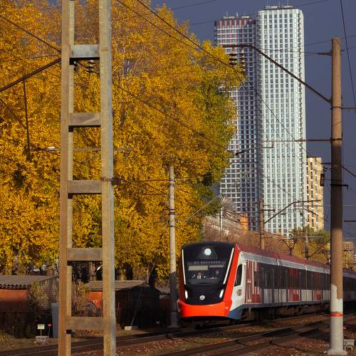 Photo #11655678