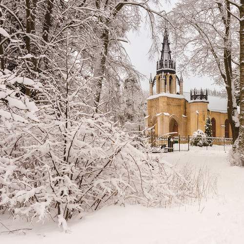 Photo #11655779