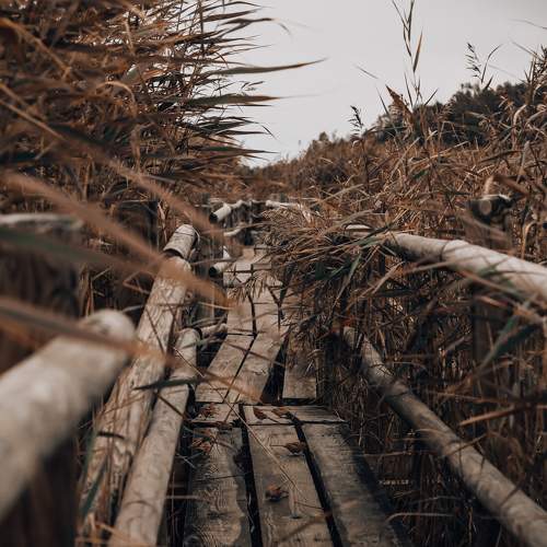 Photo #11655814