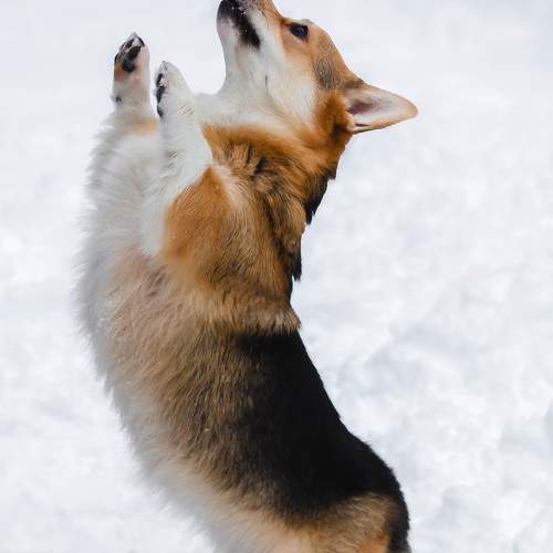 Photo #11655837