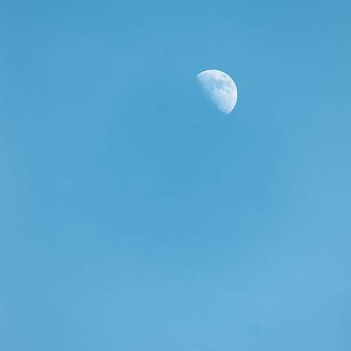 Photo #11656214