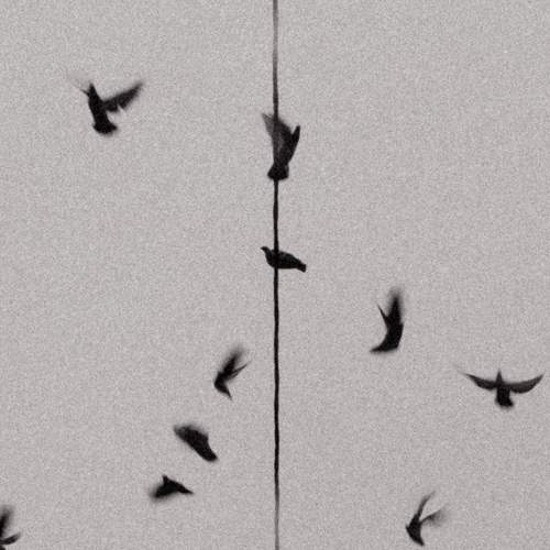 Photo #11656216