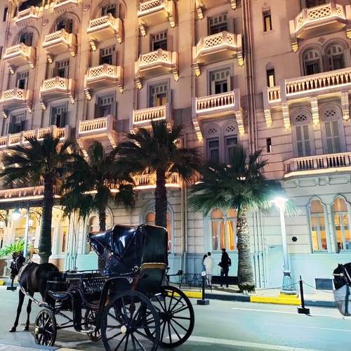 Alexandria ✨❤️