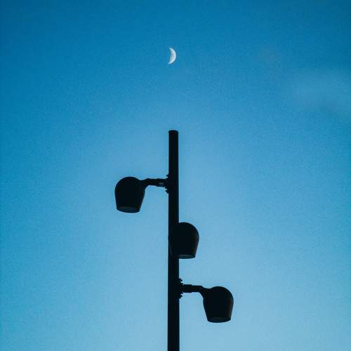Photo #11656389