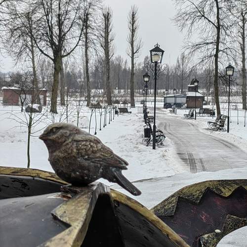 Photo #11656485