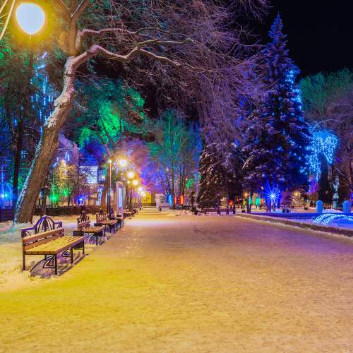 Photo #11656491