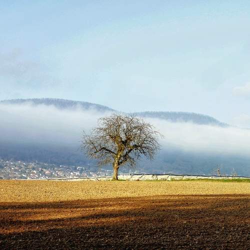 Photo #11656550