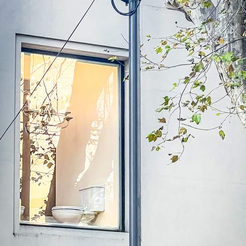 Photo #11657059