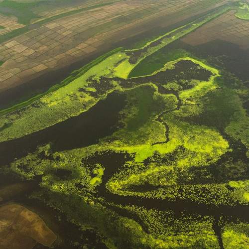 Photo #11657423