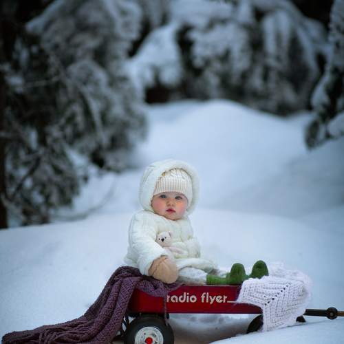 Photo #11657520