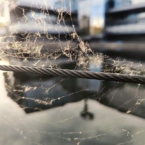 Photo #11658105
