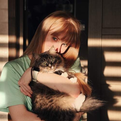 Photo #11658239