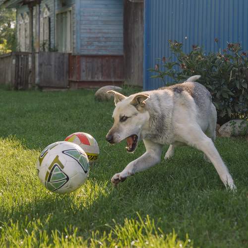 Photo #11658334
