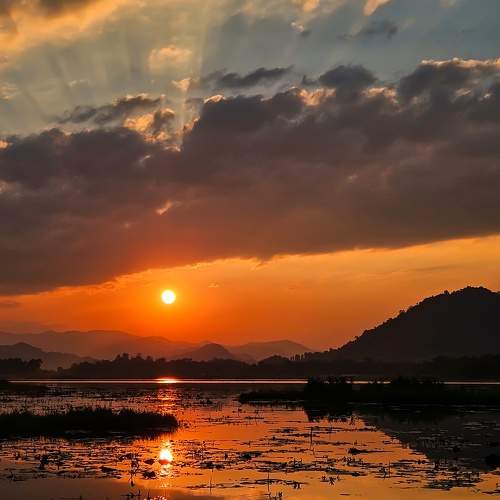 Photo #11658426