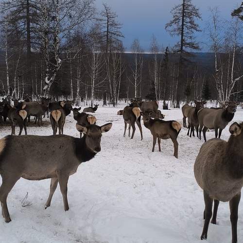 Photo #11658792