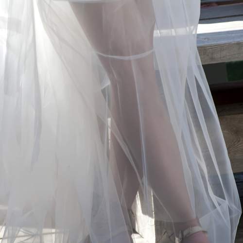 Photo #11658836