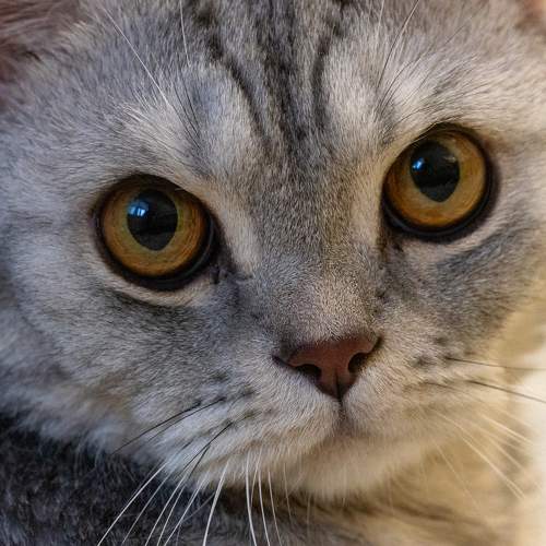 Фотография #11658994