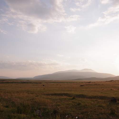 Photo #11659010