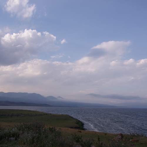 Photo #11659011