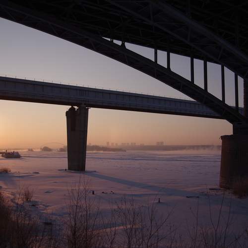 Photo #11659020