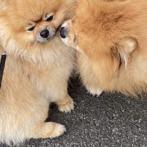 Фотография #11659346