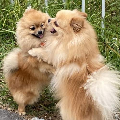 Фотография #11659349