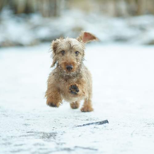 Photo #11659536