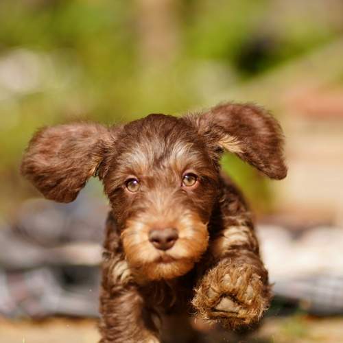Photo #11659543