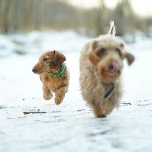 Photo #11659554