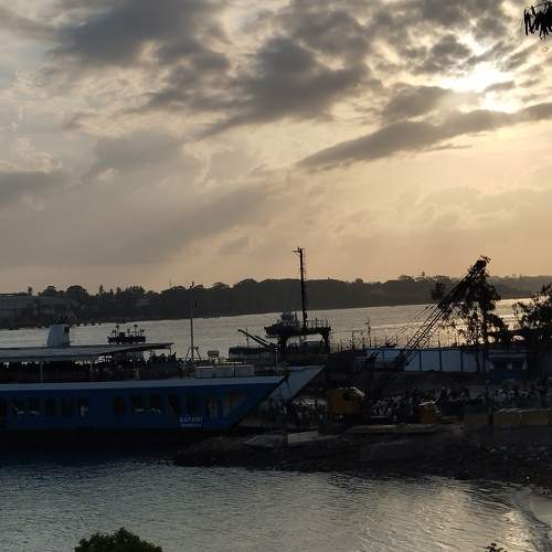 Photo #11659644