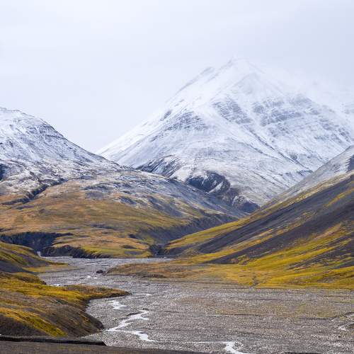 Photo #11659943