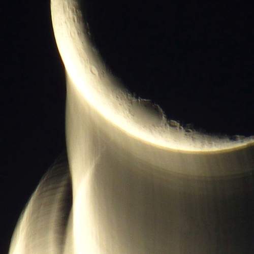 Photo #11659975