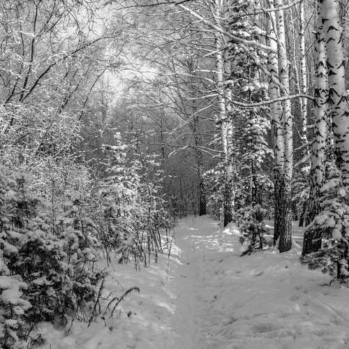 Фотография #11660073