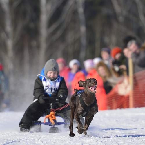Photo #11660267