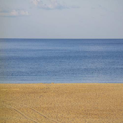 Photo #11661021