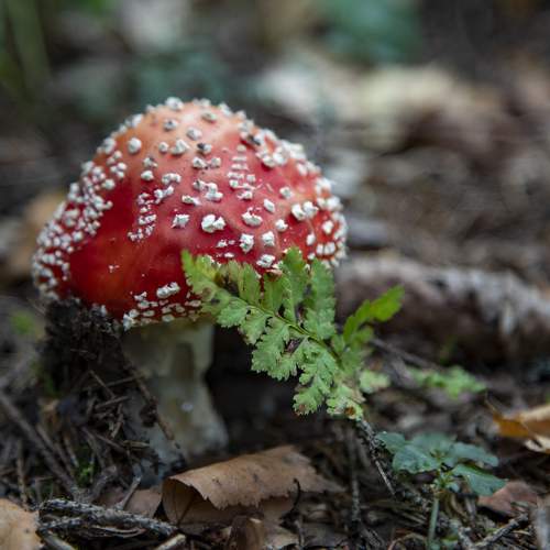 Photo #11661273