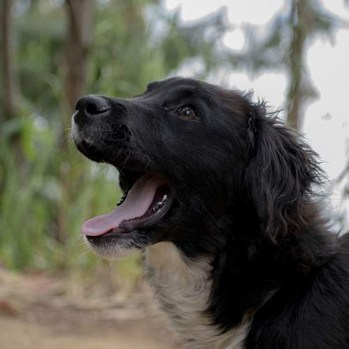 Photo #11662418