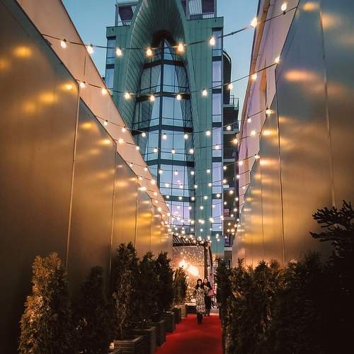 Photo #11662776
