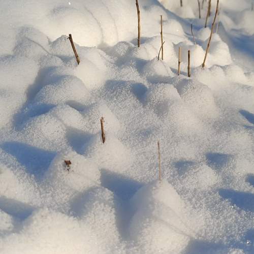 Photo #11662850