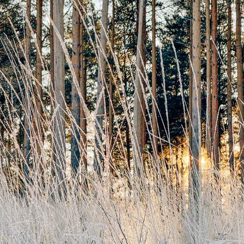 Photo #11662994