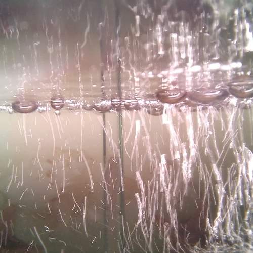 Photo #11663362