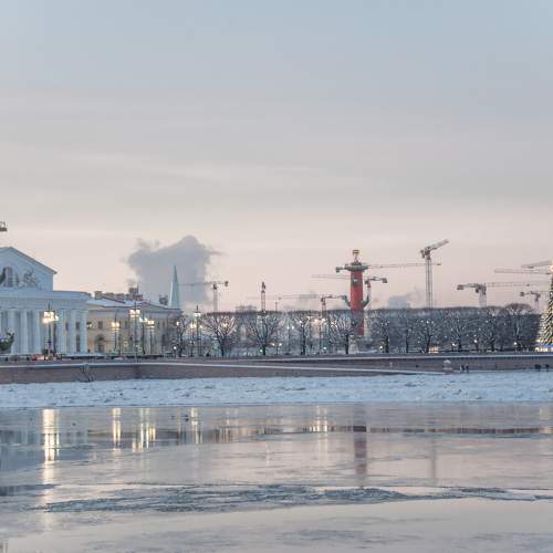 Photo #11663424