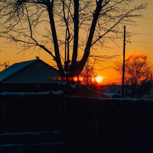 Photo #11663565