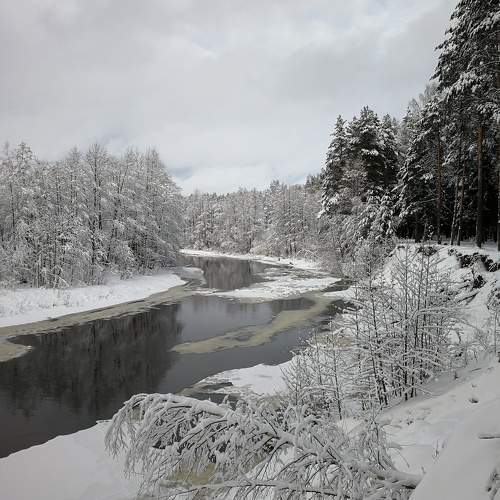 Photo #11663724