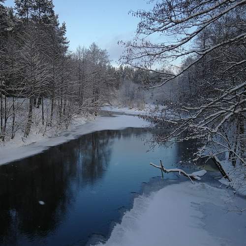 Photo #11663729