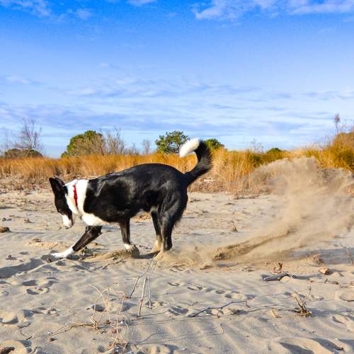 Photo #11664427