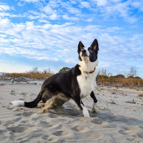 Photo #11664429