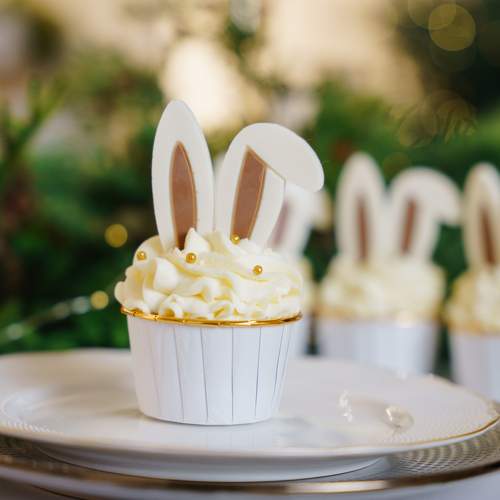 Photo #11664436
