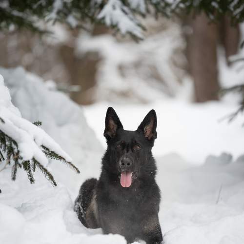 Photo #11664505